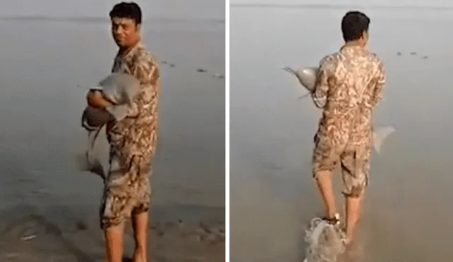 El sujeto introdujo al delfínido en aguas más profundas. Foto: Viral Press / YouTube