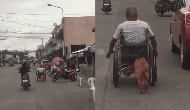 En Facebook: Perro empuja silla de ruedas de su dueño y es viral en internet [VIDEO]