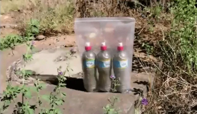 Huánuco: abastecían de marihuana a reos con botellas desde la calle  