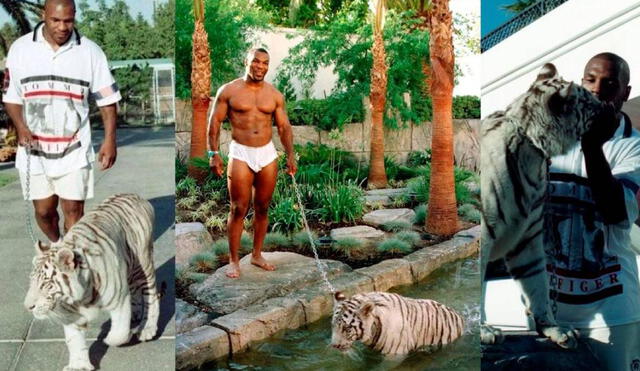 Mike Tyson tuvo un terrible incidente en 2019 con su tigre de bengala. Foto: Infobae