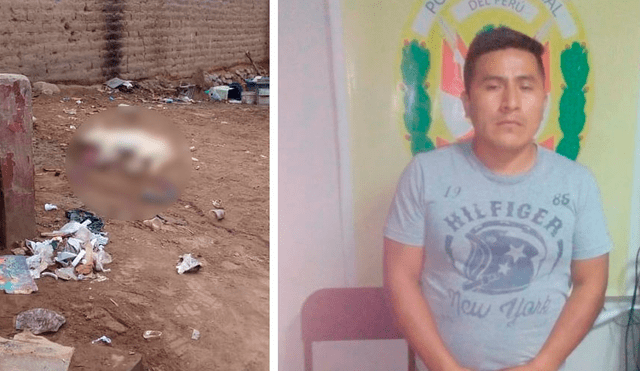 Trujillo: padre mata a perro de su vecina por morder a su hijo