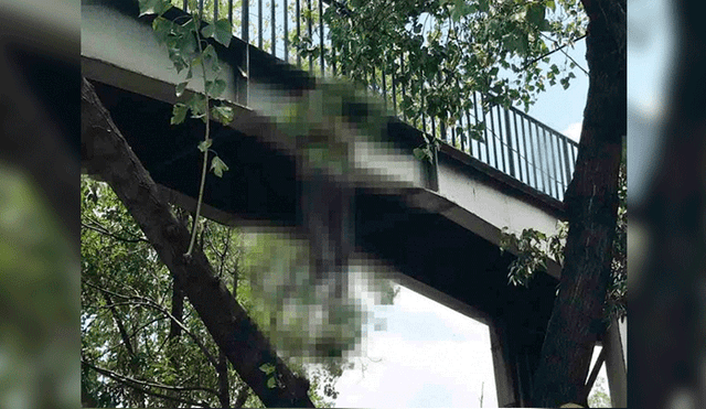 Abuelo se suicida colgándose de puente y explica motivos en desgarradora carta