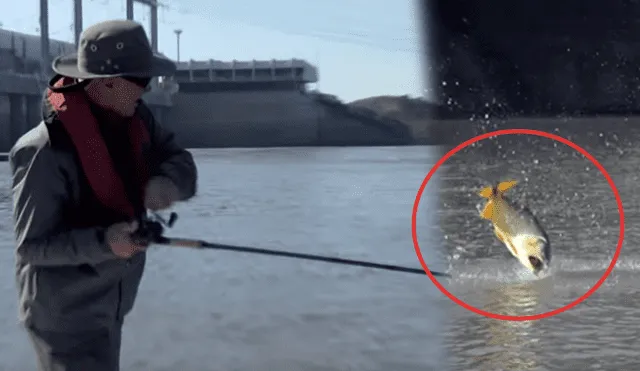 YouTube viral: aventureros capturan a ‘monstruo de río’ que adopta particular aspecto [VIDEO]