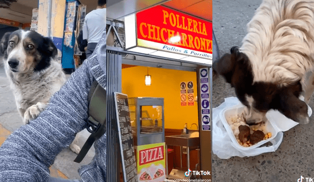 Desliza las imágenes para ver la emotiva escena que protagonizó este perrito callejero al recibir comida de un joven. Fotocapturas: Elí Alarcón/TikTok