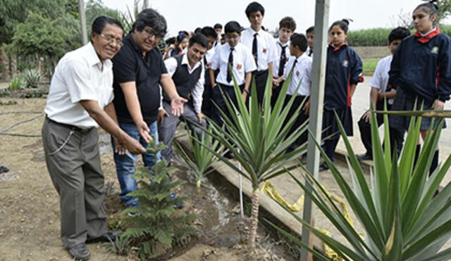 La Libertad: alumnos siembran árboles en el Día Mundial del Medio Ambiente