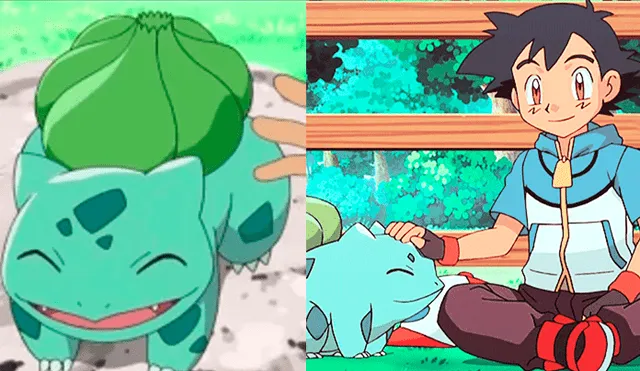 Pokémon: descubrió un ‘bulbasaur’ de carne y hueso y es viral [VIDEO]
