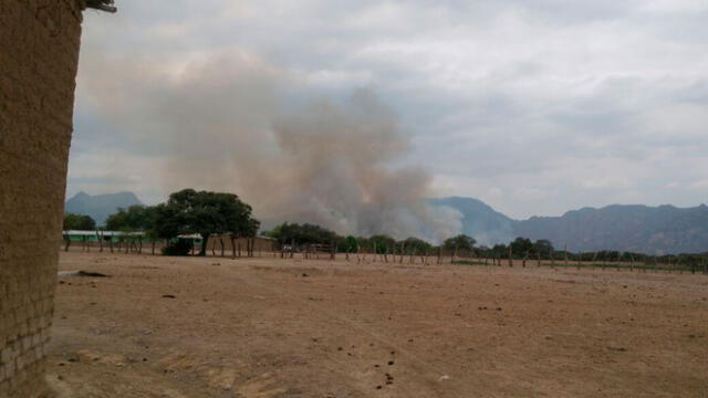 Lambayeque: denuncian incendio de bosques de Salas por presuntos traficantes de tierras [VIDEO]