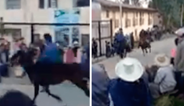 Hombre muere atropellado por caballo en Cajamarca
