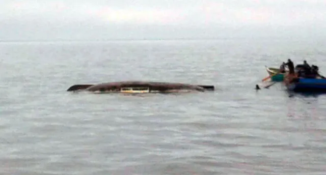 Chimbote: 14 pescadores salvaron de morir al naufragar su embarcación 