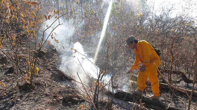 Controlan incendio en la Reserva Nacional de Tumbes