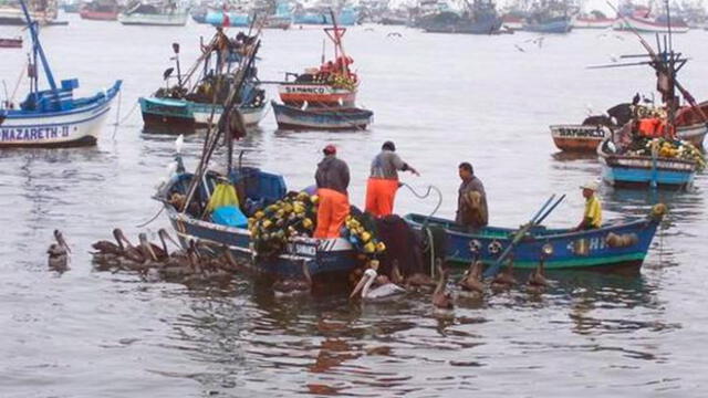 Formalizan la pesca artesanal vía Decreto Legislativo