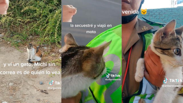 Policía de tránsito rescata a gatito abandonado. Foto: captura de TikTok