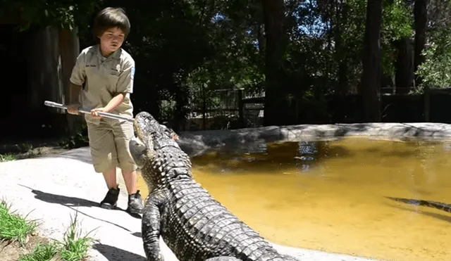 YouTube viral: niño de 8 años asombra a miles al ser todo un domador de caimanes y culebras [VIDEO]