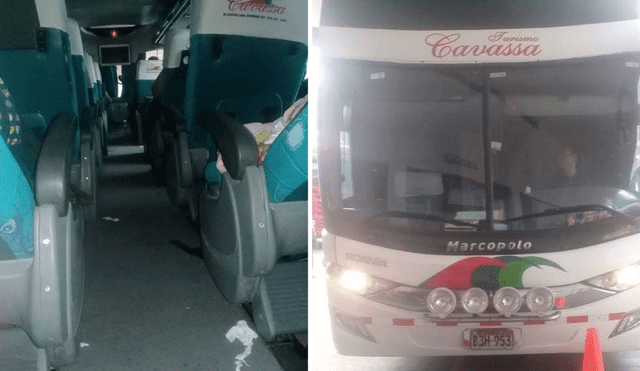 Denuncian nueva presencia de chinches en bus Chiclayo-Lima