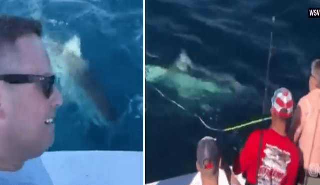 Desliza hacia la izquierda para ver el encuentro que tuvieron los pescadores con el tiburón, escena que es viral en YouTube.