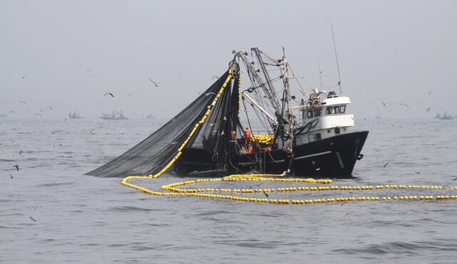 Produce: Nuevas tasas de derechos de pesca permitirá recaudar 112 millones de soles al año