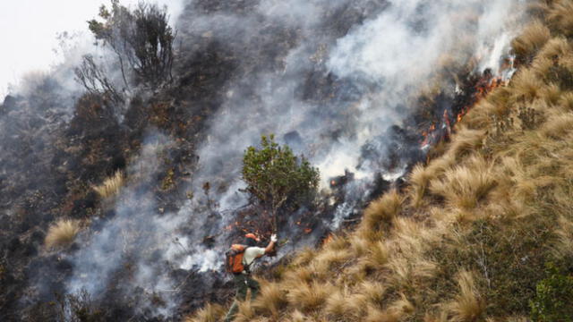 Registraron más de 100 incendio forestales en las últimas tres semanas. Créditos: Jorge Cerdán / La República.