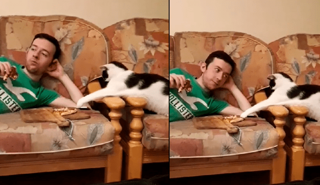 Desliza las imágenes para ver la curiosa escena que protagonizó este gatito al querer ‘robar’ un poco de comida a su dueño. Fotocapturas: ViralHog/YT
