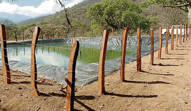 Las cochas, una práctica incaica para almacenar agua en la sierra de Piura