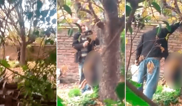 Facebook: ahorcó a su perro en un árbol y sus vecinos le dieron una lección [VIDEO]