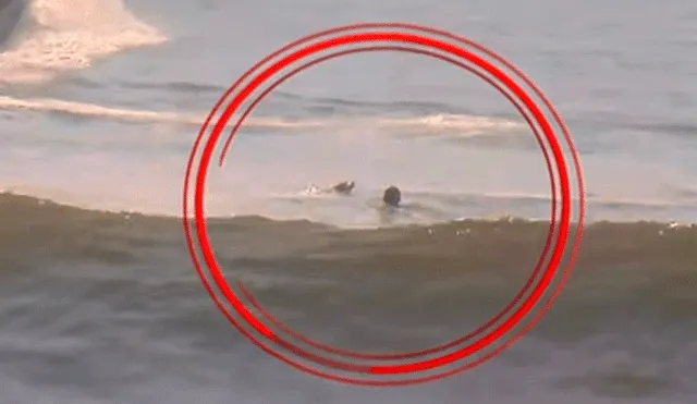 Youtube: perro quiso salvar a su dueño en playa de Barranca y el final fue inesperado [VIDEO]