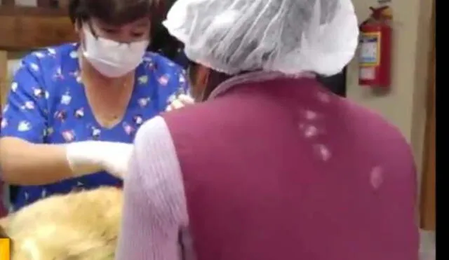 Huancayo: Perro es lanzado desde el tercer piso de la sede municipal