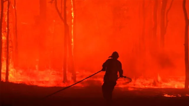 Incendios forestales en Australia dejaron al menos 12 muertos. Foto: EFE