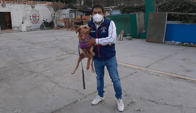 Chiclayo: regidor adopta a perro de indigente reubicado