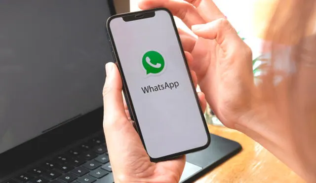 Conoce cómo cambiar el tamaño de las letras y la calidad de imágenes que envías dentro de WhatsApp. Foto: Semana