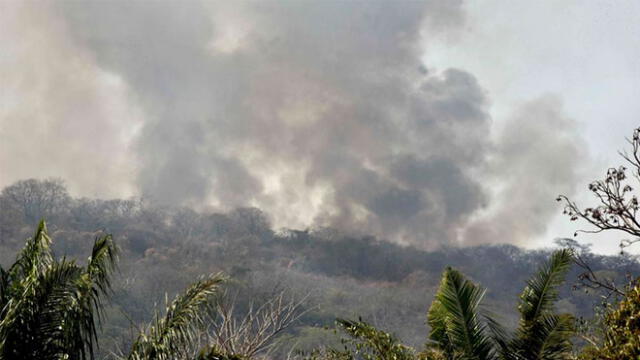 Incendio en la Amazonía inició hace 21 días y ahora devora la selva de Bolivia. Foto: AFP.