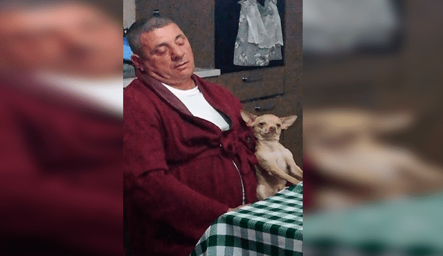 En Facebook, un padre fue descubierto en emotiva escena junto a un perro tras mostrar su rechazo por querer una mascota.