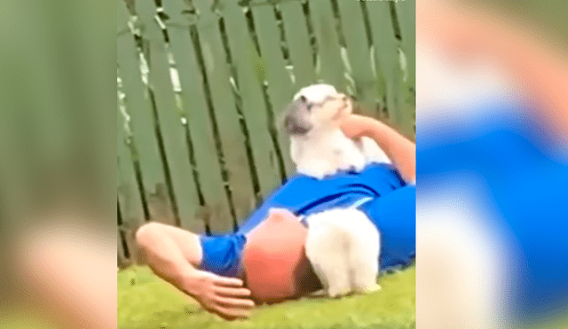 Facebook viral: su padre no quería perros en casa y luego de semanas su hija lo capta en tierna escena
