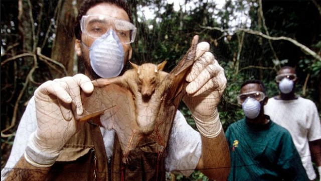Los expertos consideran que puede haber nuevas pandemias. Foto: Science Photo Library / BBC