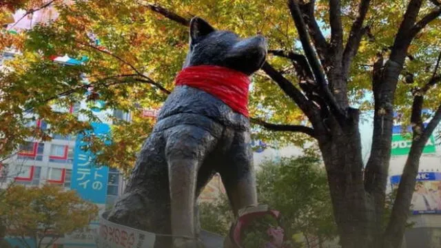 Estatua de Hachiko fue decorada en homenaje al perro símbolo de las protestas en Chile