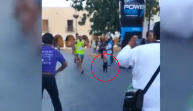 YouTube: Maratonista patea a perro en plena competencia [VIDEO]