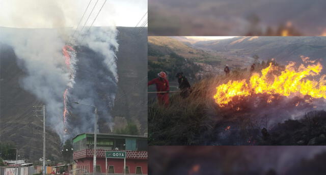 Incendios forestales provocan estragos en tres distritos de la región Cusco