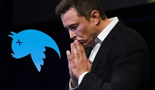 Elon Musk ahora dirige Twitter. Foto: CNBC