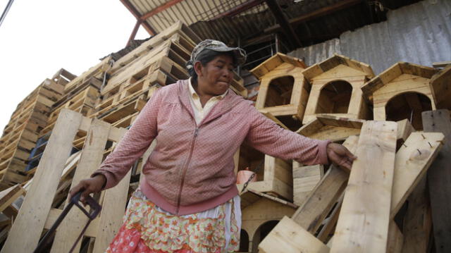 OIT: Las mujeres representan la mitad de los desempleados de América Latina