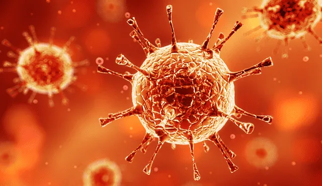 La investigación del Instituto Nacional de Defensa Biológica Battelle de EE.UU. descubrió que gran parte de los patógenos del SARS-CoV-2 se desactivaron al exponerse a luz solar. | Foto: Shutterstock