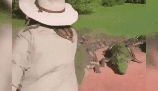 YouTube: alimentaba a cocodrilos y terminó grabando increíble ataque [VIDEO]