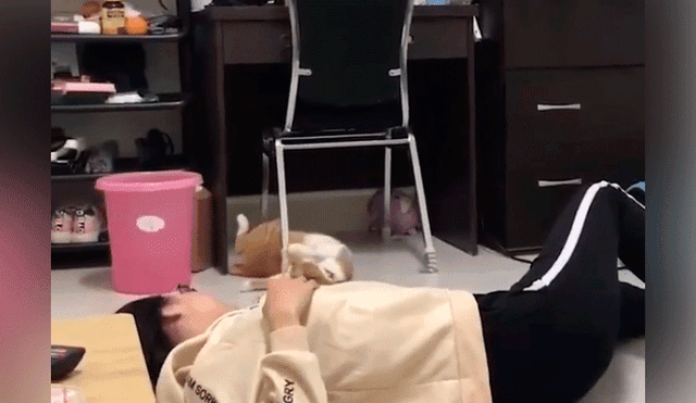 Vía Facebook: mujer finge "morir" frente a su gatito y este tiene insólita reacción [VIDEO]