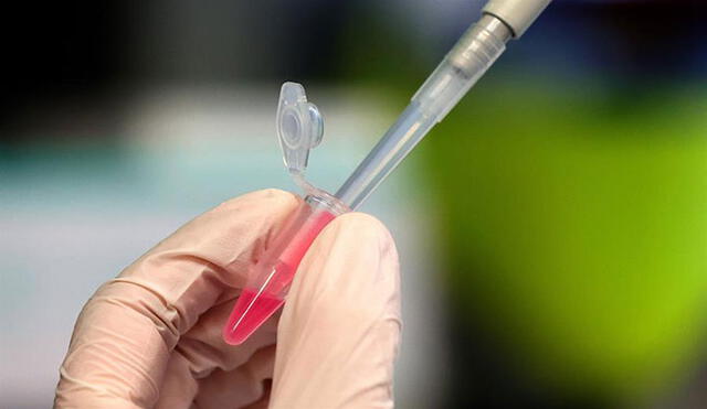Oxford ya produce vacunas contra el nuevo coronavirus. Foto: EFE