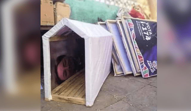 Facebook: crean campaña para construir casitas para animales con carteles de políticos [FOTOS] 