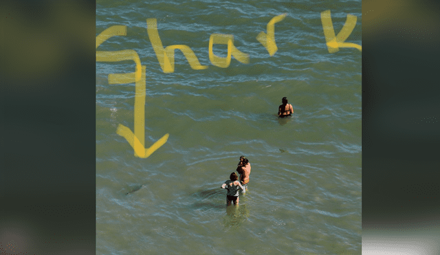 Bañistas quedan aterrados al notar la presencia de un tiburón. Foto: Captura.