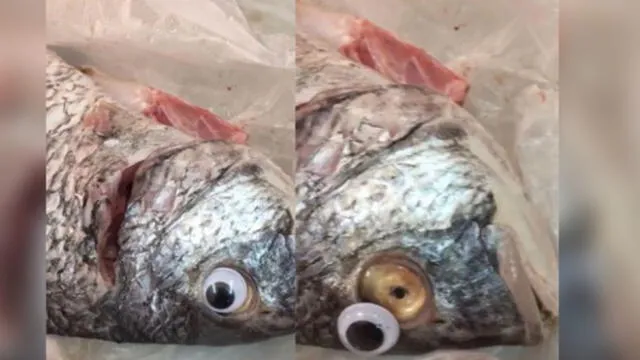 Facebook: Comerciantes ponían ojos de juguete a los pescados para ocultar mal estado