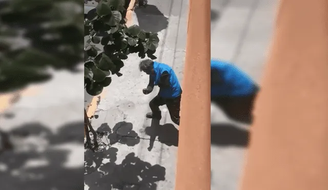 Vía Facebook: hombre ebrio es grabando mientras 'pelea' con un perro imaginario y el video es viral