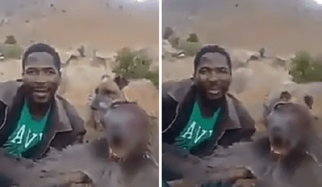 Cazador furtivo filma agonía de babuino mientras se burla de su víctima [VIDEO]