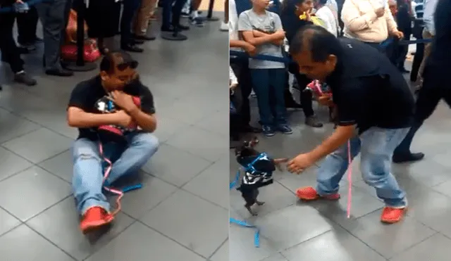 Facebook: mascotas de venezolano llega al Perú y el video enternece a miles