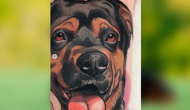 Desliza las fotografías para ver el increíble tatuaje que se hizo un joven en honor a su difunta mascota. Foto: Captura/ goksisdead