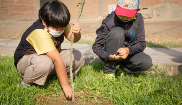 Niños y jóvenes de diversas regiones del Perú promueven la conciencia ambiental con la plantación de árboles en sus comunidades
